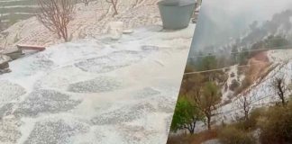 ओलों का कहर! सिरमौर की ‘पीच वैली’ में आड़ू-पलम की फ्लावरिंग तबाह, बारिश बर्फबारी से हिमाचल में फिर लौटी ठंड