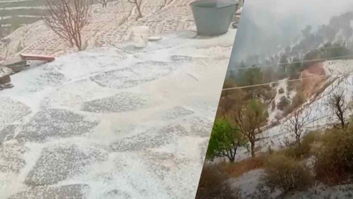 Winner_20260315_213018_0000