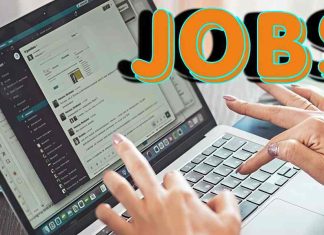 112 पदों के लिए यहां 24-25 मार्च को होंगे कैंपस इंटरव्यू, 10वीं से लेकर MBA तक वालों के लिए सुनहरा चांस