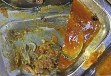 एटरनल यूनिवर्सिटी बड़ू साहिब के छात्रावास की मेस में भोजन में कीड़े मिलने से भड़की छात्राएं, बढ़ा विवाद