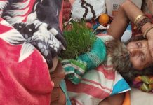 नवरात्रि में अद्भुत तप! नौ दिन छाती पर जौ उगाकर कठिन हठयोग में लीन रहे मौनधारी बाबा