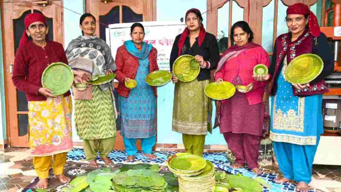 टौर वृक्ष के हरे पत्तों से बनी यह विशेष थाली, मंडी व आस-पास के क्षेत्रों में काफी प्रचलित है, जिसे आम भाषा में पत्तल कहते हैं। विवाह-शादियों व अन्य समारोहों में यह सामूहिक भोज के लिए विशेष तौर पर प्रयोग में लाई जाती हैं। खाने के लिए स्वच्छ तथा उपयोग के उपरांत आसानी से घुलनशील यह पत्तल पर्यावरण अनुकूल भी हैं।