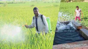 Aggriculture Aggristack एग्रीस्टैक परियोजना के तहत ऊना जिले के 41,861 किसान डिजिटल रजिस्ट्री से जुड़ चुके हैं। इस पहल से किसानों को एकीकृत डिजिटल पहचान मिलेगी, जिससे सरकारी योजनाओं और कृषि सेवाओं तक उनकी पहुंच अधिक सरल, पारदर्शी और समयबद्ध होगी।