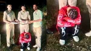 Chitta arrest case poanta sahib पांवटा साहिब में चिट्टे के साथ शिलाई का युवक गिरफ्तार, एसआईयू नाहन की टीम ने दिया कार्रवाई को अंजाम