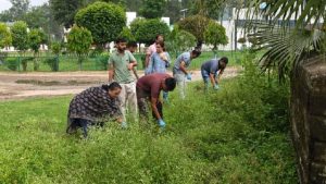 क्षेत्रीय बागवानी अनुसंधान एवं प्रशिक्षण केंद्र, धौलाकुआं में पार्थेनियम उन्मूलन दिवस मनाया गया।