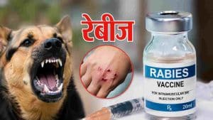 मुख्य चिकित्सा अधिकारी डॉ. अजय अत्री ने बताया कि नादौन उपमंडल के गांव भलूं में रह रहे जम्मू के एक व्यक्ति की डॉ. राजेंद्र प्रसाद राजकीय मेडिकल कालेज टांडा में रेबीज से मौत की सूचना मिलते ही स्वास्थ्य विभाग ने तुरंत ऐहतियाती कदम उठाए हैं।