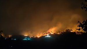 प्रचंड गर्मी की तपिश के बीच वनों में आग लगने का सिलसिला शुरू हो गया है। वन मंडल नाहन की जमटा रेंज के जंगल आग से दहक रहे हैं। नावणी क्षेत्र में जंगलों को आग से भारी नुकसान हुआ है। नावणी और जमटा क्षेत्र के लोगों के लिए बीती रात किसी दहशत से कम नहीं रही।