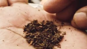 Oplus_16908288 जिला दंडाधिकारी ऊना जतिन लाल ने भारतीय नागरिक सुरक्षा संहिता (बीएनएसएस), 2023 की धारा 163 के तहत आदेश जारी कर जिले में फ्लेवरयुक्त धूम्ररहित तंबाकू उत्पादों के भंडारण, परिवहन, वितरण, आपूर्ति, प्रदर्शन एवं बिक्री पर तत्काल प्रभाव से प्रतिबंध लगा दिया है।