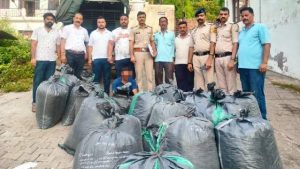 अफीम डोडे का आरोपी अवैध नशा तस्करी के खिलाफ चलाए जा रहे विशेष अभियान के तहत बद्दी पुलिस ने लगातार तीसरे दिन बड़ी सफलता हासिल करते हुए करीब 400 किलोग्राम अफीम डोडे की खेप बरामद की है।