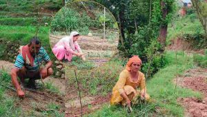 एचपी शिवा परियोजना एचपी शिवा परियोजना