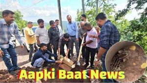 Leopard cub falls into pit dug for mobile tower installation; rescued after two days, separated from mother.