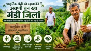 मंडी प्राकृतिक खेती प्राकृतिक खेती को प्रोत्साहित करने तथा किसानों को रसायनमुक्त खेती की ओर प्रेरित करने के ‘सुक्खू सरकार’ के प्रयास रंग ला रहे हैं। न्यूनतम समर्थन मूल्य में बढ़ोतरी से किसानों का रूझान इस ओर बढ़ा है।