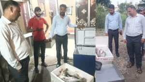 जिला ऊना में मत्स्य विभाग ने प्रतिबंधित (क्लोज) सीजन के दौरान अवैध रूप से मछली बेचने वालों के विरुद्ध प्रभावी कार्रवाई करते हुए नियमों के उल्लंघन के पांच मामलों में कुल 8 हजार रुपये का जुर्माना वसूला है।