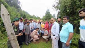 पच्छाद कांग्रेस द्वारा राजगढ़ के थनोगा जोहड़ी में वन महोत्सव का आयोजन किया गया।