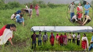 क्षेत्रीय बागवानी अनुसंधान एवं प्रशिक्षण केंद्र (RHRTS), धौलाकुआं में मंगलवार को वन महोत्सव का शुभारंभ हुआ।